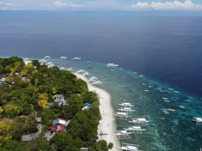 Beautiful aerial view of Panglao Island's white sandy beach and turquoise waters, perfect for a summer vacation.