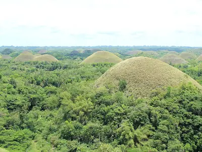 Chocolate Hills Carmen Bohol