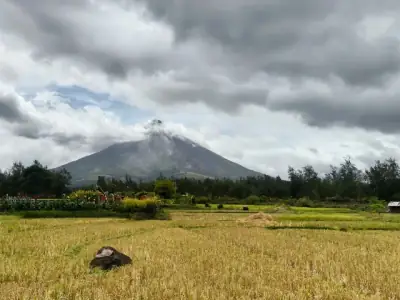 Scenic view of Mayon Volcano surrounded by lush fields and cloudy skies in Bicol, Philippines.