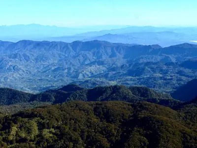 Mount Apo Rainforest
