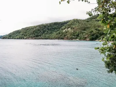Breathtaking view of Samal Island's lush coastline and pristine waters.