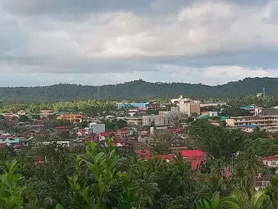 Borongan City