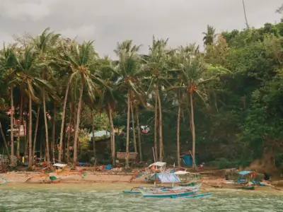 Scenic view of a tropical beach lined with coconut palms and traditional boats in Iloilo, Philippines.