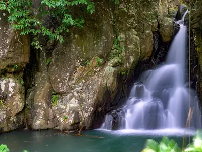 Murcia, Negros Occidental