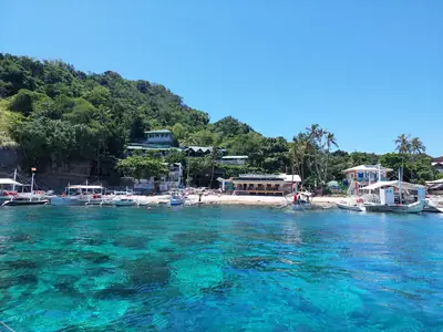 Apo Island on the side of Balay Reef