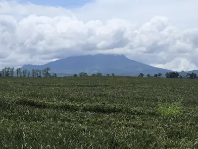 Mount Matutum from Tupi