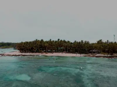 Explore the serene tropical beachfront with clear waters and lush palm trees in General Luna, Philippines.