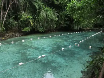 Discover the tranquil beauty of a pristine forest pool in Surigao City, surrounded by lush greenery.